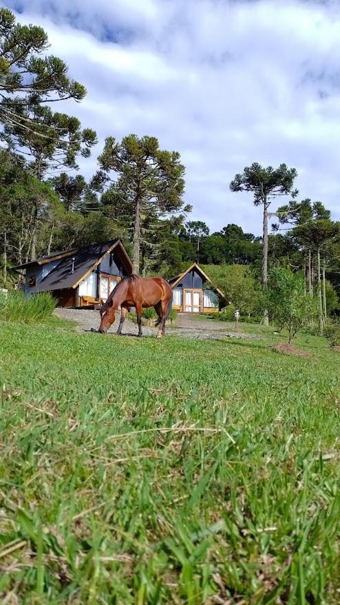 Refugio Brognoli - Suicos - Com Banheira Dupla De Hidromassagem Chalet Urubici